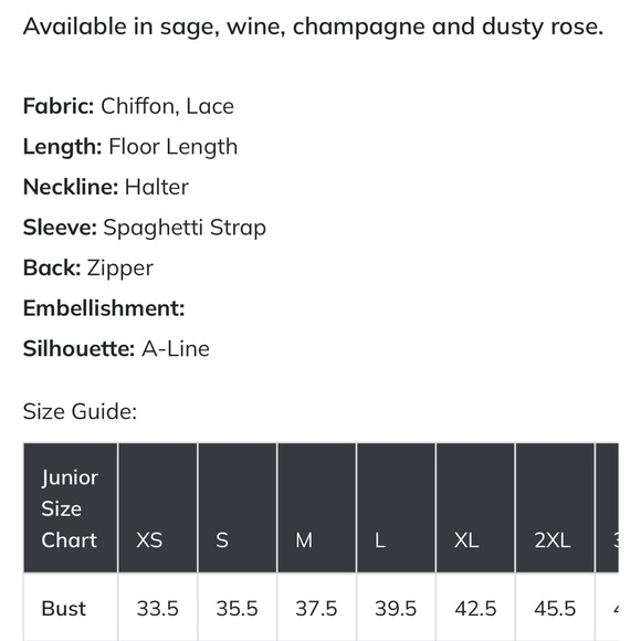 Chiffon/Bridesmaid/Wedding/2X/Maxi/Spag Strap/Zipper Closure/MSRP $130/NWT - Picture 17 of 17